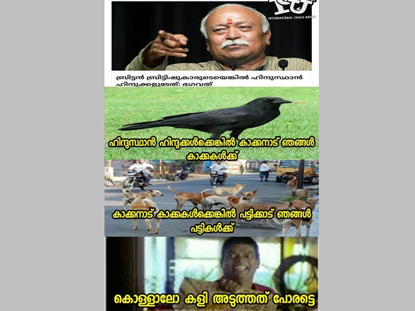 കാക്കനാട് കാക്കകള്ക്ക്