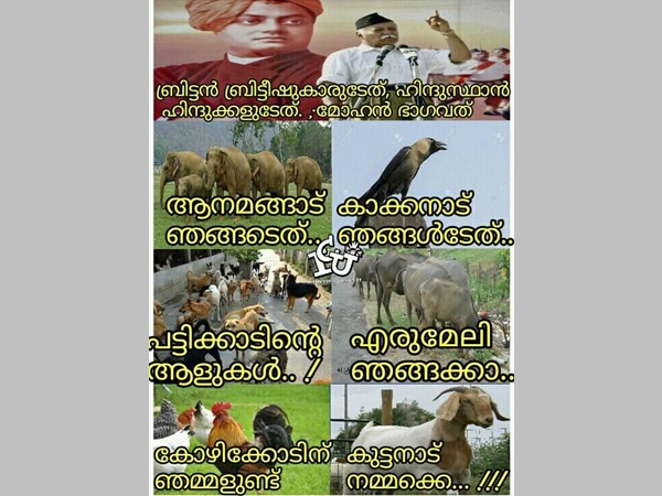 ആന, എരുമ...