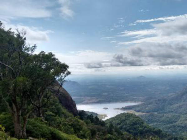 യുവാവിന് നിയന്ത്രണം വിട്ടു