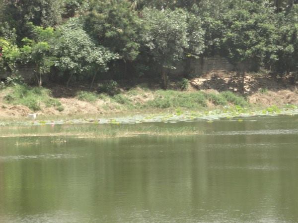 ഉടന് നടപ്പിലാക്കും...