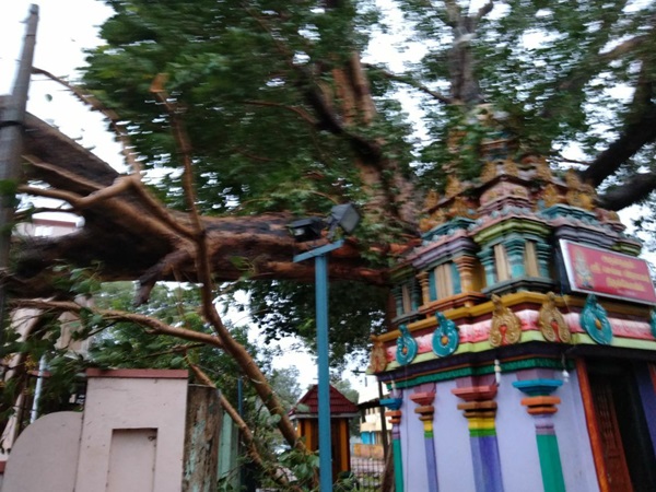 ദുരന്ത നിവാരണ അഥോറിറ്റി