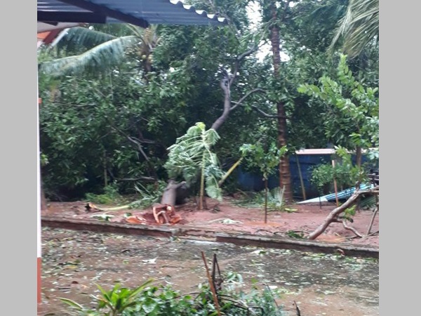 ഒരാഴ്ച സൗജന്യ റേഷൻ