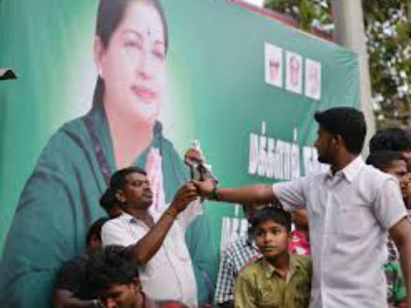 ക്യാമറകൾ സ്ഥാപിച്ചു
