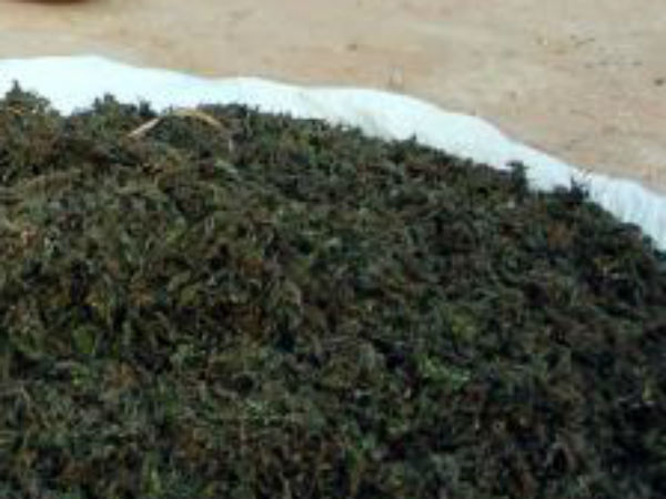 തീവണ്ടി മാർഗം