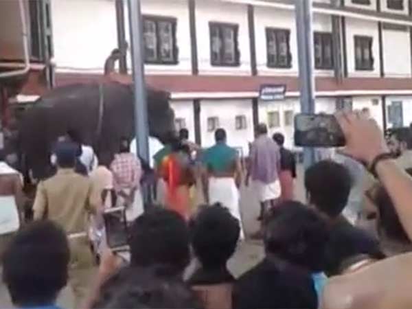 വാർഷിക പൂജ...