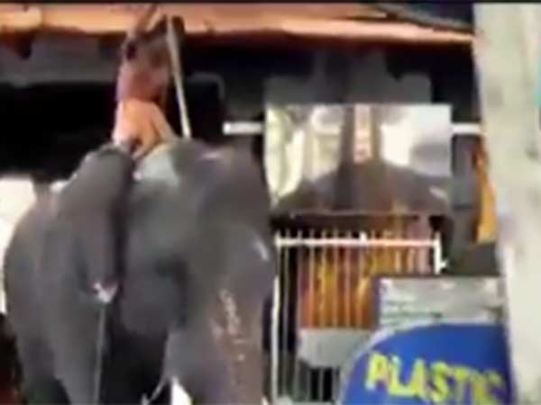 കൂടുതൽ സൗകര്യങ്ങൾ...