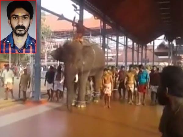 ആന ഇടഞ്ഞു...