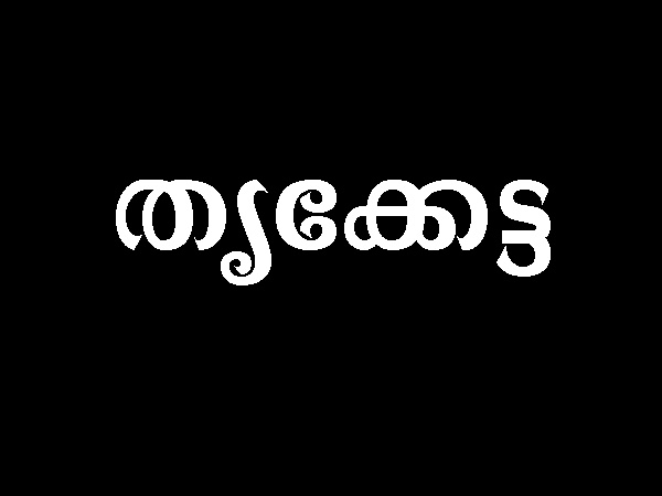 തൃക്കേട്ട നക്ഷത്രം