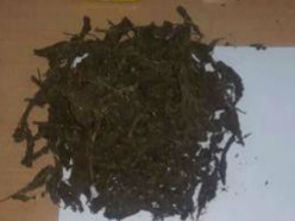 കൊച്ചിയിലെത്തിയത്ത് മസ്ക്കത്ത് വഴി