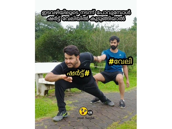 വേലിയില് കുടുങ്ങിയോ