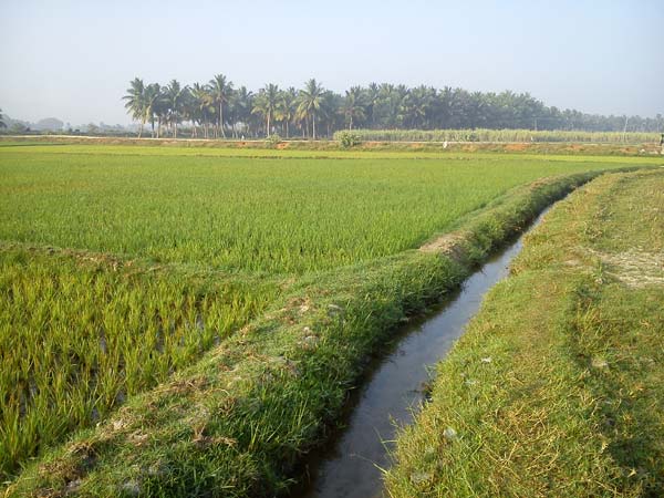 ഈസ് ഓഫ് ഡൂയിംഗ് ബിസിനസ്
