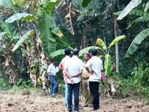 ഒരു കൂസലുമില്ല...