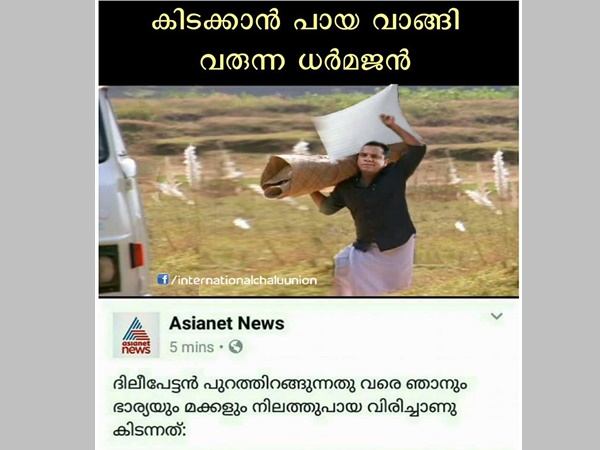 പായ വാങ്ങിയോ