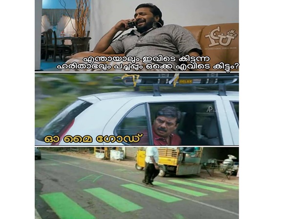 ഹരിതാഭയും പച്ചപ്പും