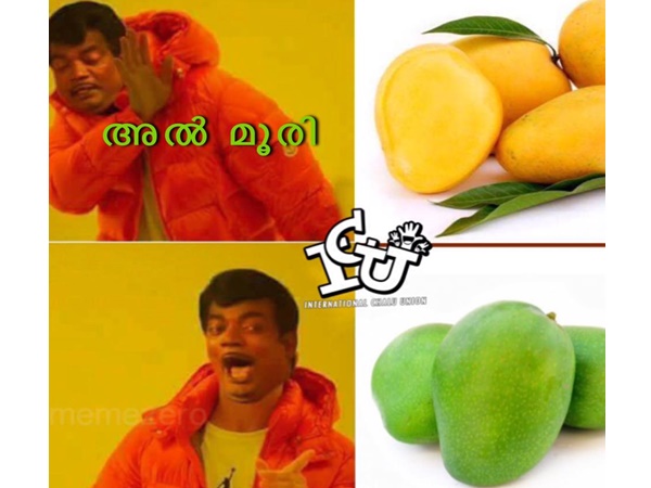 അല് മൂരി