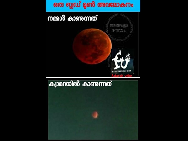 ക്യാമറയുടെ കാര്യം