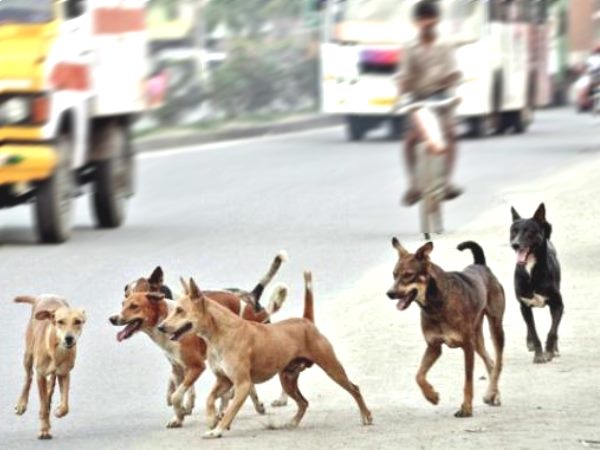5 ലക്ഷം രൂപ ധനസഹായം