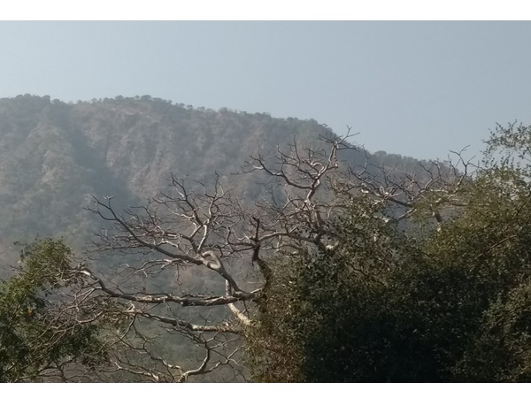 ലോനാവാല, മുംബൈ എക്സ്പ്രസ് ഹൈവേ