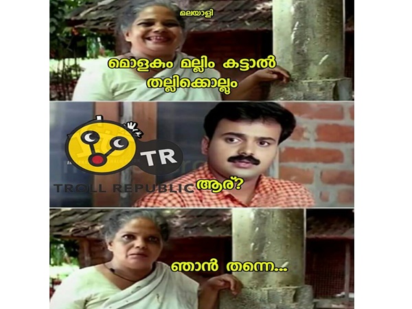 മലയാളി തന്നെ
