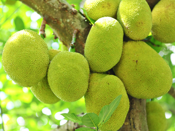 നമ്മുടെ സ്വന്തം