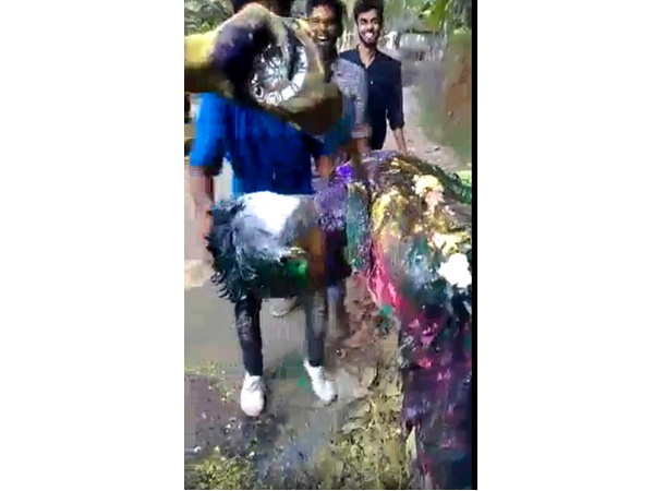 വായിൽ ചാണക വെള്ളം