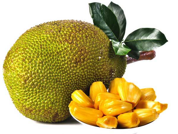 കല്പ വൃക്ഷം പോലെ