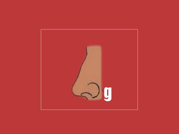 G ആകൃതിയില് മൂക്കുള്ളവര്