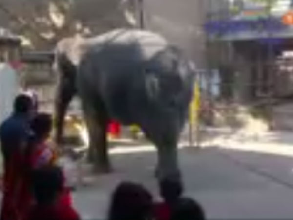 ഗുരുതരമായ പരിക്ക്