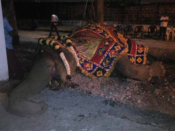 ഭക്തജന പ്രവാഹം