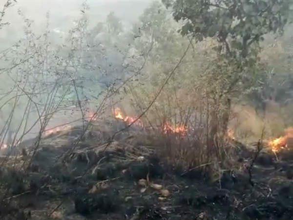 വീടുവിട്ടവര്