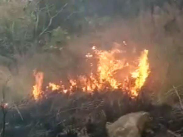 ഒരിക്കലും പിരിയാത്ത സുഹൃത്തുക്കള്