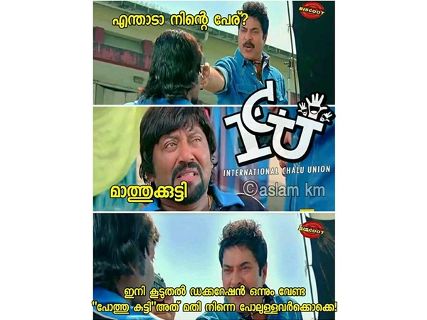 പോത്തുകുട്ടി