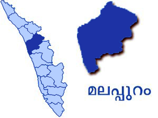 അറസ്റ്റ്, ജാമ്യം, റിമാന്റ്