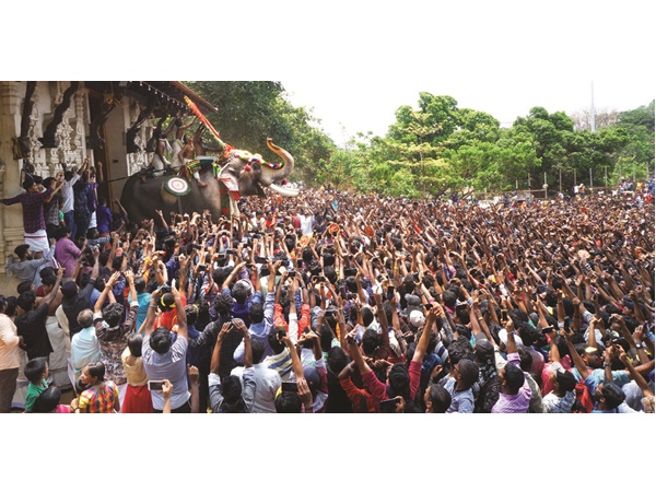 പൂരത്തിന് പോകുന്നത് ആണുങ്ങൾ മാത്രം