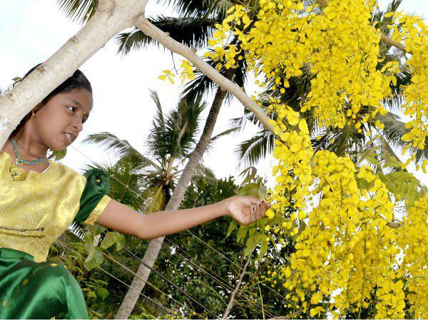 പഴിചാർത്തിയത് കൃഷ്ണഭക്തനെ