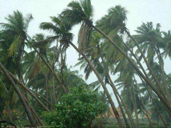ചൊവ്വാഴ്ച വരെ...