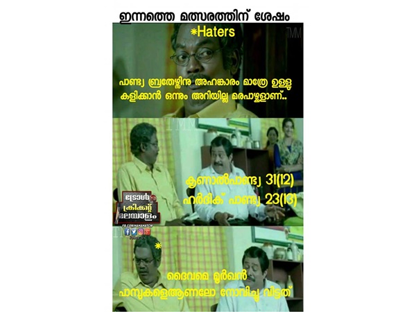 മൂര്ഖന് പാമ്പുകള്