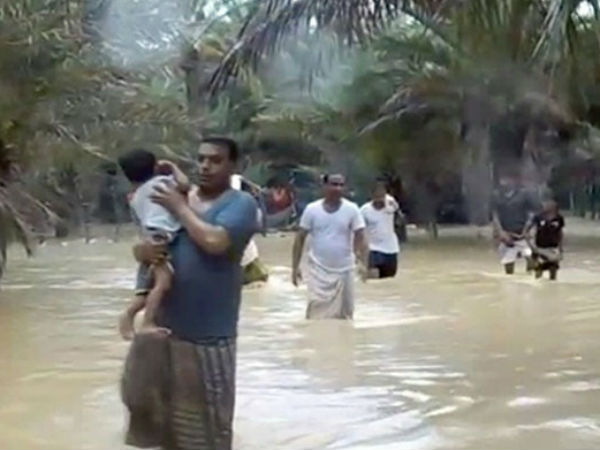 മരങ്ങള് കടപുഴകി