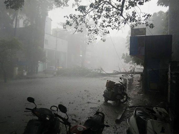 കൊടകരയില് മരം വീണൂ
