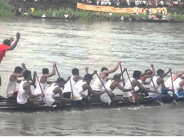 ഇരുട്ടുകുത്തി