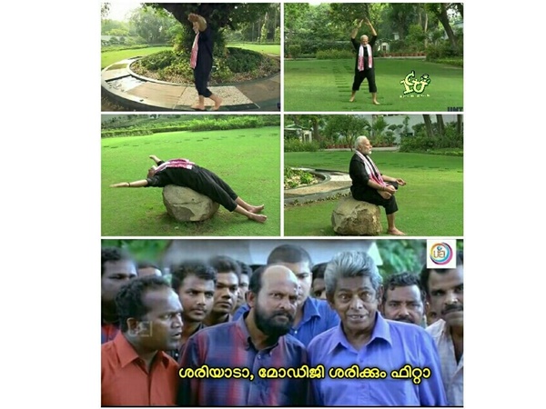 ശരിക്കും ഫിറ്റാ...