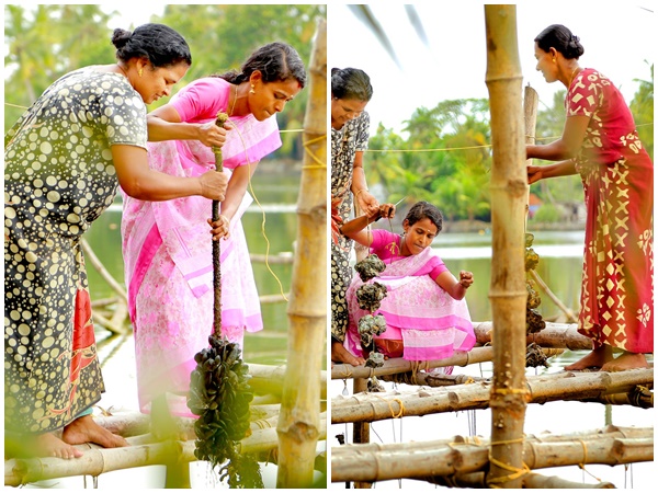 ചിലവ് കുറഞ്ഞ കൃഷി
