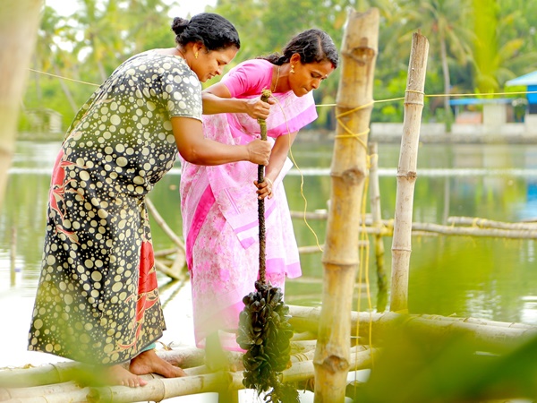 പോഷക സമ്പുഷ്ടം