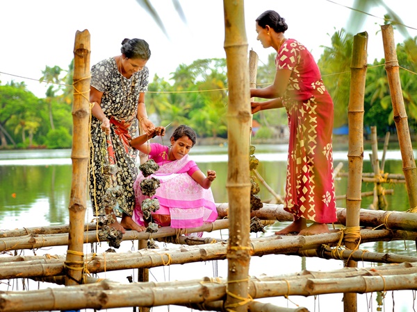 സിഎംഎഫ്ആർഐയിൽ ലഭിക്കും