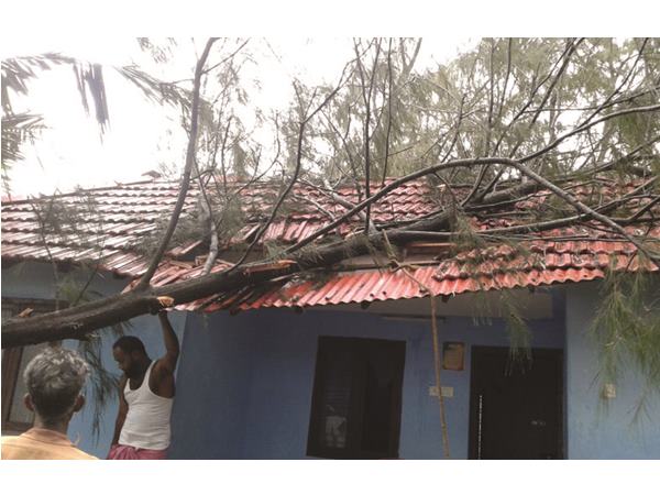 ചാവക്കാട്ട് മിന്നല് ചുഴലി