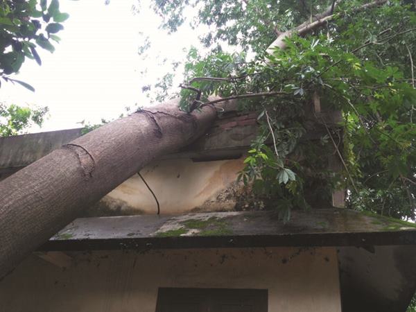 യാത്രക്കാര് രക്ഷപ്പെട്ടു