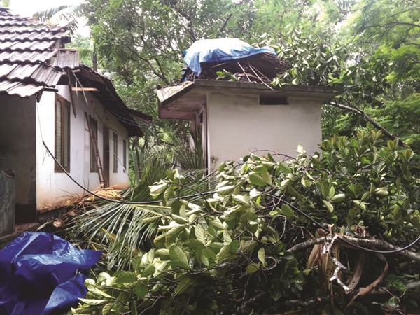 തുടരുന്ന മഴ