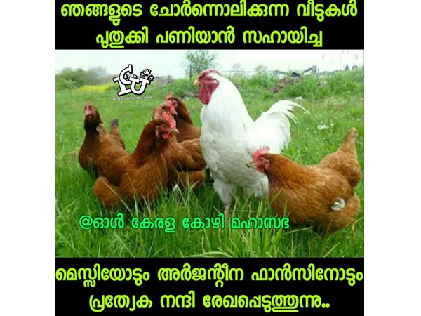 കോഴി മഹാസഭ