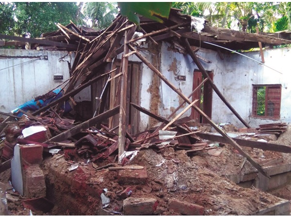 പുതുരുത്തി മേഖലയില് മരങ്ങള് വീണു വീടുകള് തകര്ന്നു