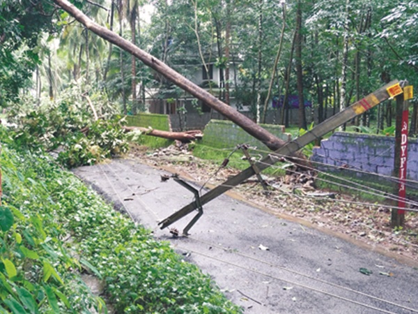 ഗതാഗതം പൂര്ണമായും തടസപ്പെട്ടു